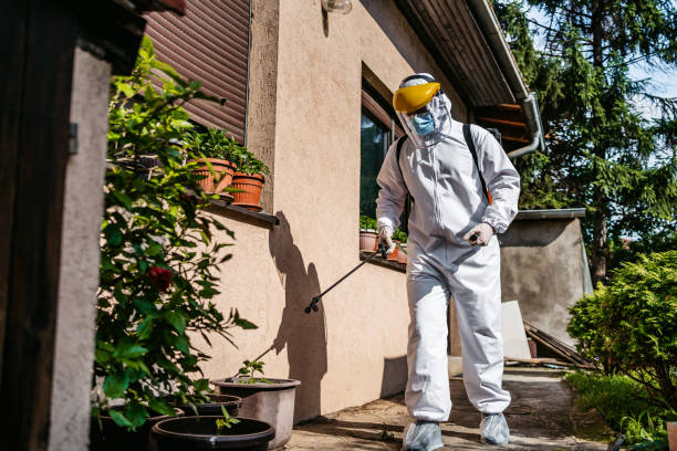 Reliable Cave Creek, AZ Pest Control Solutions