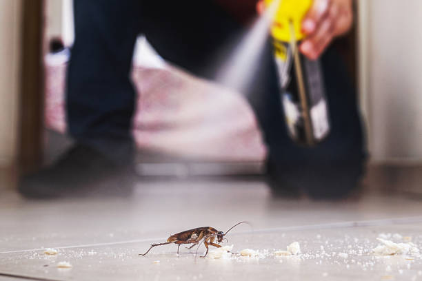  Cave Creek, AZ Pest Control Pros